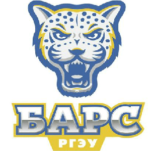 圣彼得堡泽尼特B队